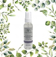 hand sanitiser spray