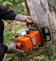 Commercial Tree Services