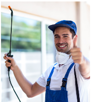 Pest Control Townsville