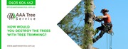 Tree trimming service