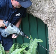 Flatlinepest Control - Bird Control Central Coast
