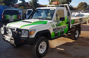 Professional Tree Removal in Adelaide