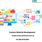 Custom Website Development