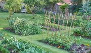 Landscape Design Castlemaine