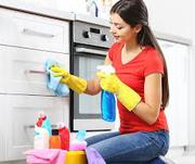 Bond Cleaning Springfield 