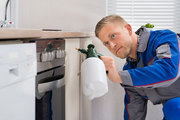 Flatlinepest Control - Central Coast Pest Control