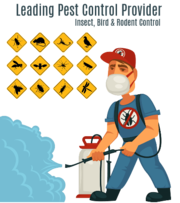 Ant pest control Perth