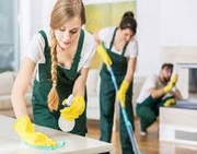 Looking for Pest Control Services in Melbourne