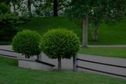 VRL Tree Services