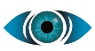 Buy Sunglass Lenses