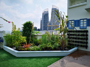 Garden design services in Castlemaine
