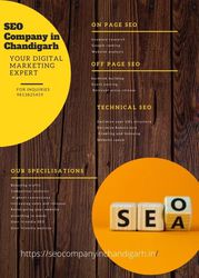 SEO Company in Chandigarh