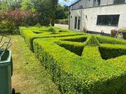 Garden Maintenance and Landscaping Services in Sydney.