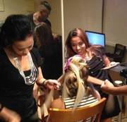  Makeup classes Brisbane | Celebrity makeovers