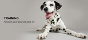 Best dog food Australia