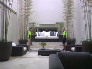 Where can You Find Reliable Sydney Furniture Removalists?