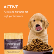 premium dog food