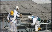 Looking For Asbestos In Melbourne?