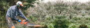 Hire the most trusted landscaping horticulture firm