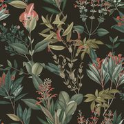 Latest Black Wallpaper Designs | Skoposhomes