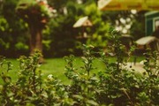 Horticulture Garden Care Melbourne | Bayside Gardening