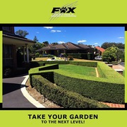 Lawn And Garden Bug Spraying Brisbane