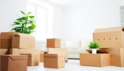 Move out cleaning in Melbourne