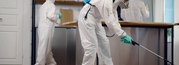 Your Trusted Pest Control Experts in Brisbane Northside – Obvious Clea