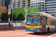 Make Memories with Wedding Bus Hire in Brisbane