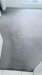 Residential carpet cleaning Adelaide