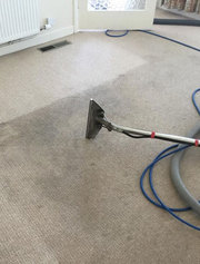 Local Carpet Cleaner in Brisbane