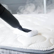 Affordable Carpet Cleaning in Ipswich – Trusted Local Experts