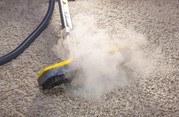 carpet steam cleaning specialist Adelaide