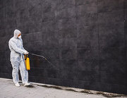 North Brisbane’s Trusted Pest Control Experts – Obvious Cleaning Servi