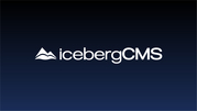 Information Technology & Online Software Development Services