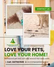 Carpet Cleaning Experts in North Brisbane – Affordable & Reliable