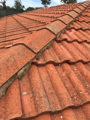 Roof restoration Adelaide