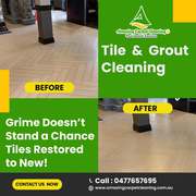 Affordable Carpet Cleaning Services in Logan – Same Day Available