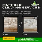 Affordable Mattress Cleaner & Carpet Cleaning in Logan – Book Now