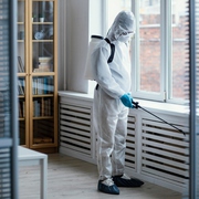 Local Pest Control Experts Brisbane | Reliable Pest Removal Services