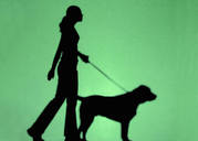DOG WALKING 
