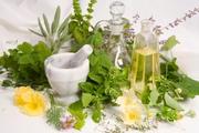 Herbal Medicine Store 